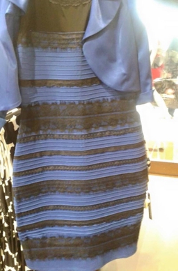 thedress